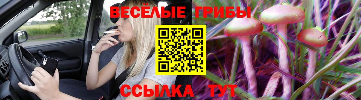 Рославль  Псилоцибиновые грибы мухоморы  Вход с VPN 