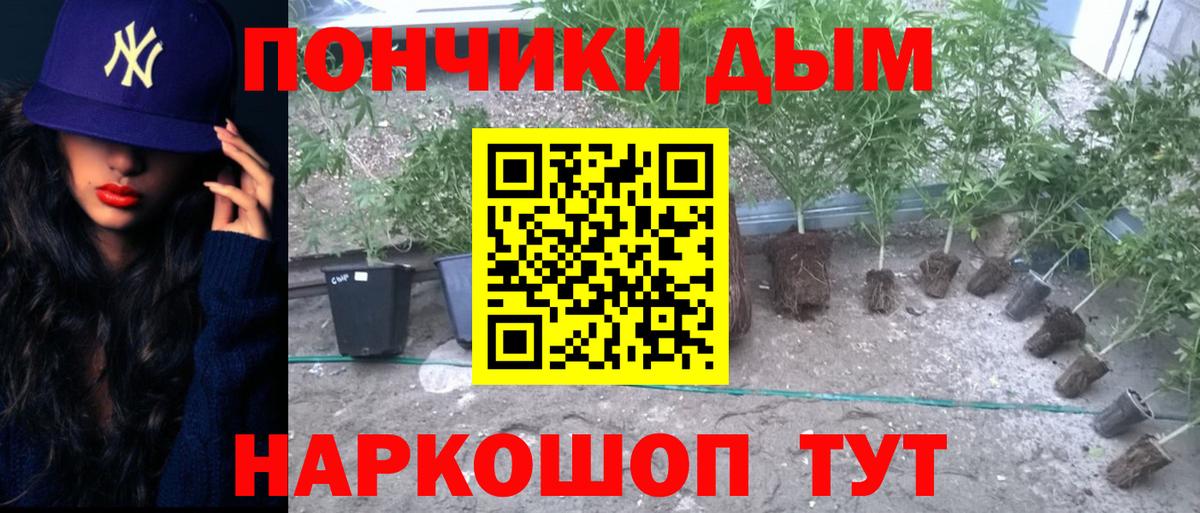 Бошки марихуана MAZAR  МАРИХУАНА SATIVA & INDICA  Вход с VPN  Рославль  Каннабис LSD WEED 